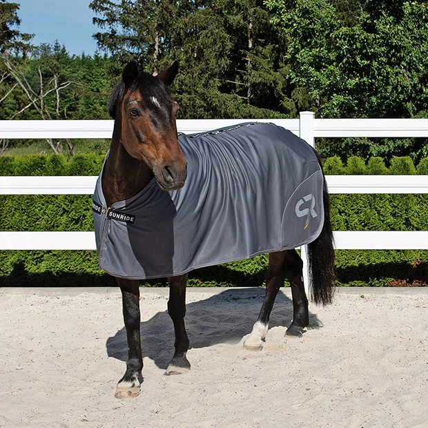 Softshell Cooler Rug "Boston"