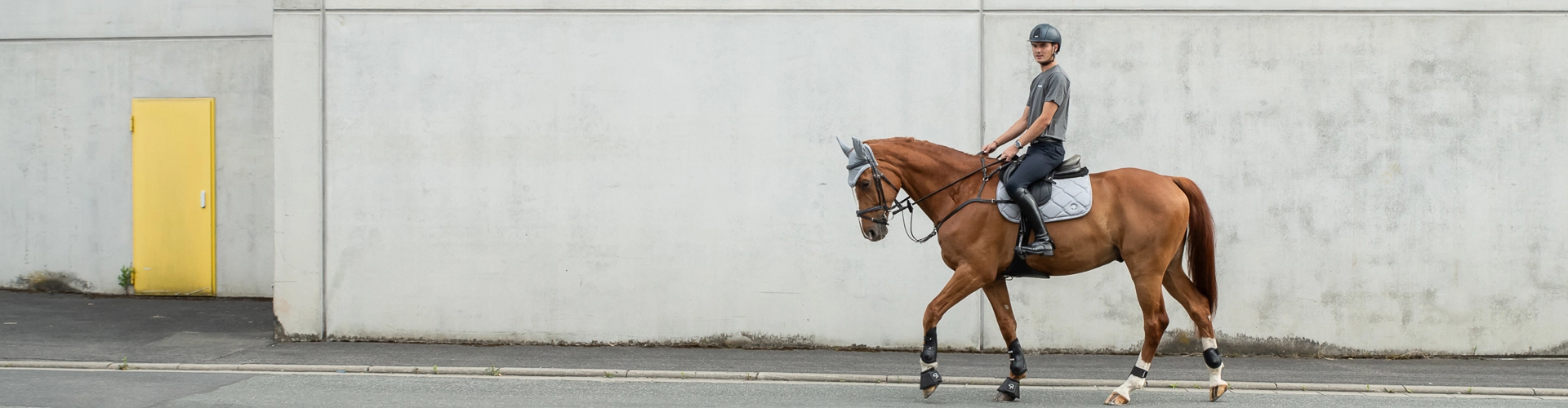 Sets Ein Reiter reitet ein Pferd im Schritt an einer hellen Wand entlang Das Pferd trägt ein graues Set aus Schabracke und Fliegenohren von Sunride