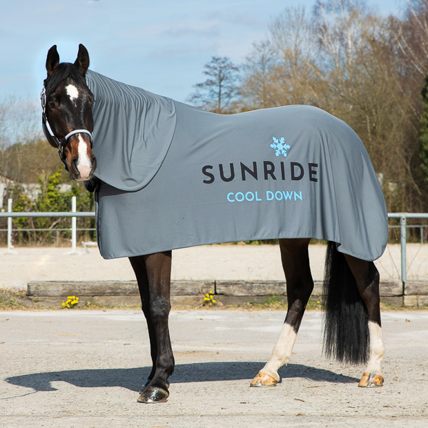 cooling rug and neck part cool down in light grey by sunride on a horse