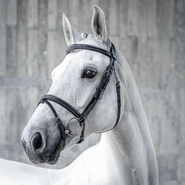 english combined black leather english bridle london with silver mounting and stitching including reins by sunride on a horse