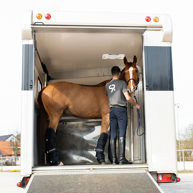 a horse in a trailer with reflecting black travel boots with reinforced hoof area in a set of 4 by sunride