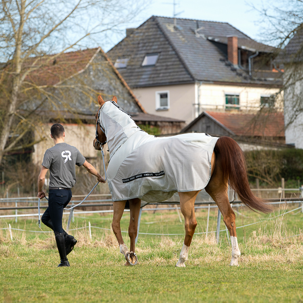 rider and his horse with lightgrey summer rug, fly rug and transportation rug with neck dubai with detachable neck part, belly part and individual straps included on a field