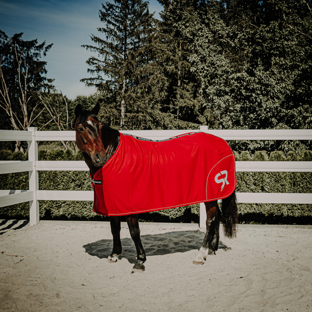 softshell and fleece cooler rug boston exclusive line red on horse with in paddock red boston cooler rug made of softshell and fleece with reflecting sr logo by sunride on a horse in a paddock