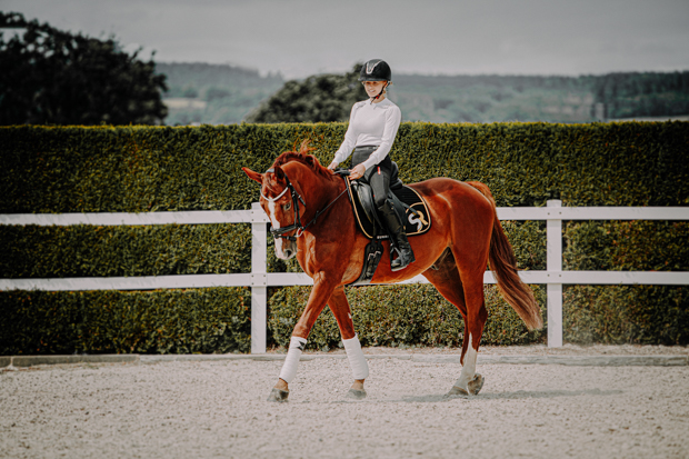 breathable dressage saddle pad gold and black exclusive line with fur on withers on a horse with rider