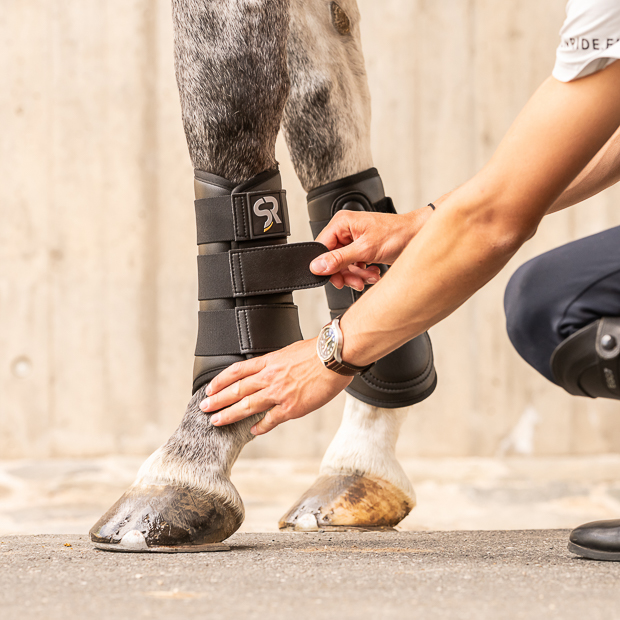 black dressage leather boots from leather and neoprene inside with elastic velcro closures on horse leg while attaching by rider