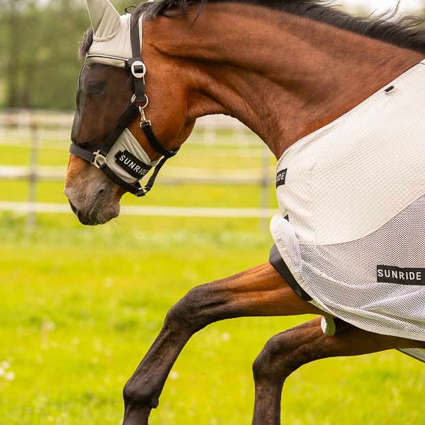 Fly Mask "Dubai"