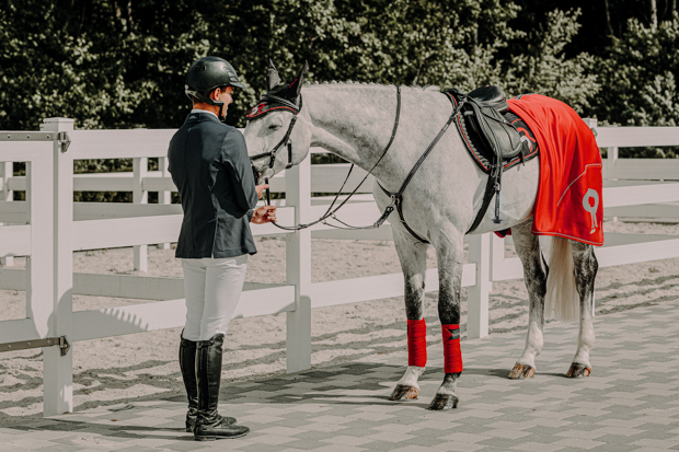 bandagen in rot fuer pferde von sunride