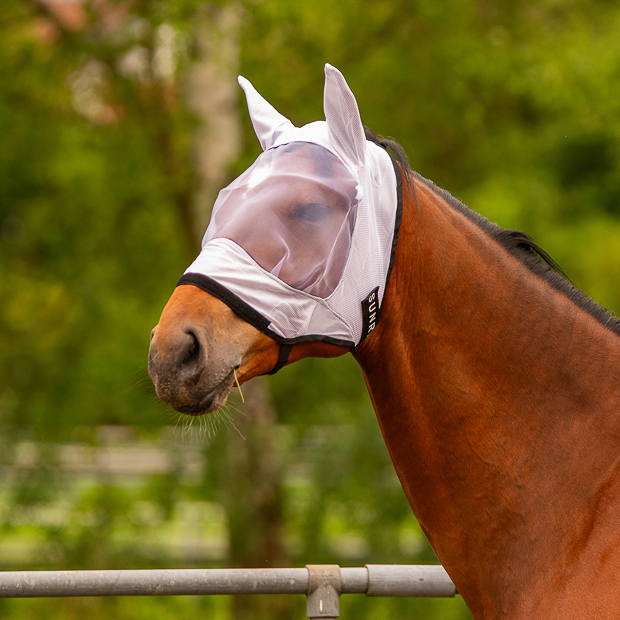 fly mask miami white on a horse