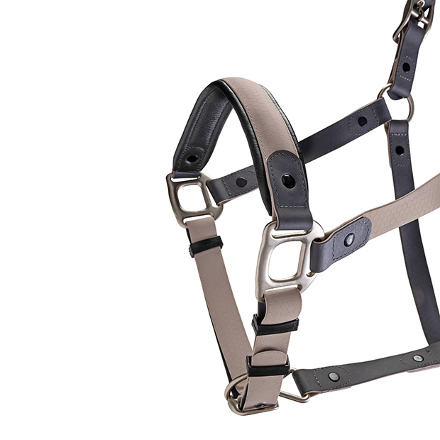 Biothane halter with lead rope