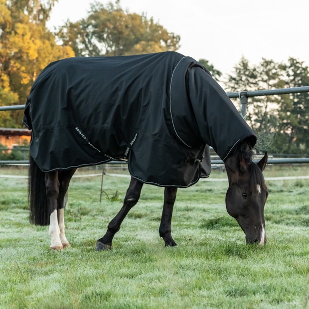 combination of black rain rug dublin with 50 grams filling and reflecting elements and the matching neck part by sunride on a horse in the meadows