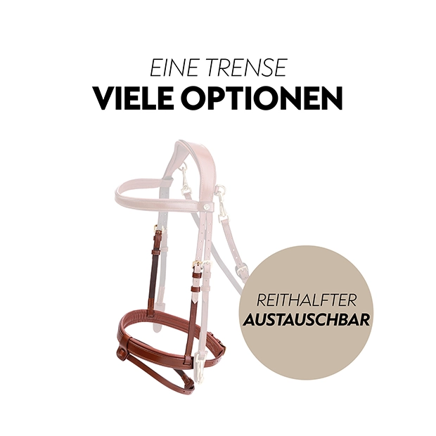 English combined bridle "Berlin" with reins