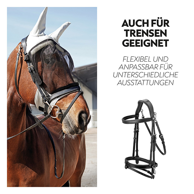 Fly mask with halter "Dubai"