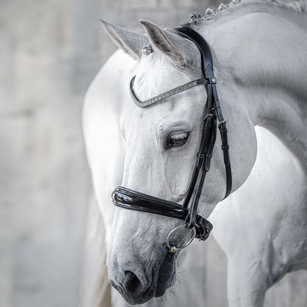 swedish leather bridle aspen with glossy nose band and matching gem stones in black with silver mounting including reins on a horse