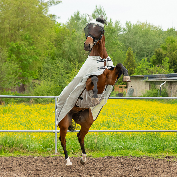 Fly Mask "Dubai"