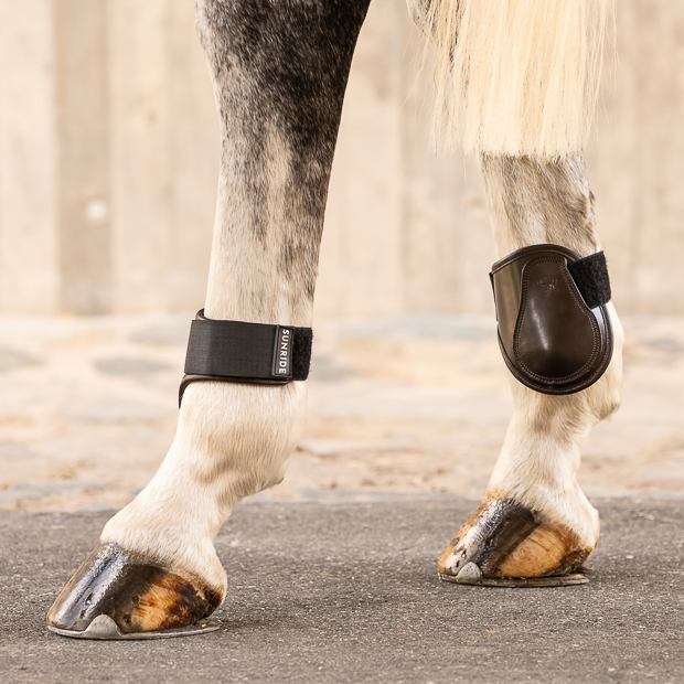 brown low leather fetlock boots with velcro closure on a horse leg