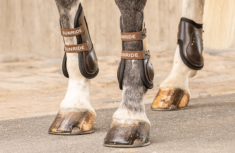 Springgamaschen Mehrere Pferdebeine mit braunen Gamaschen und Streichkappen auf Asphalt vor einer hellen Mauer