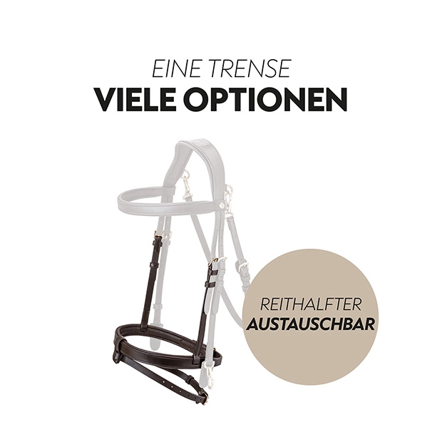 English combined bridle "Berlin" with reins English combined bridle "Berlin" with reins