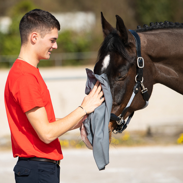 cooling rug and towel cool down in light grey by sunride with rider and horse