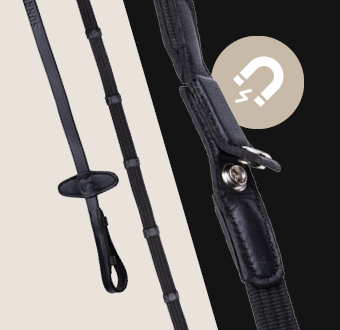 Reins