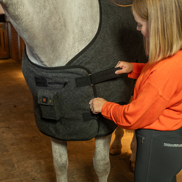 grey wool heating rug st. moritz with three levels of heating and program on a horse in the stable with rider fixing fit