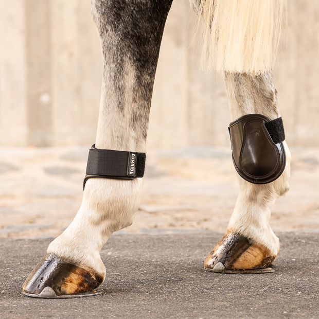 brown velcro closure leather fetlock boots on horse brown low leather fetlock boots with velcro closure on a horse leg