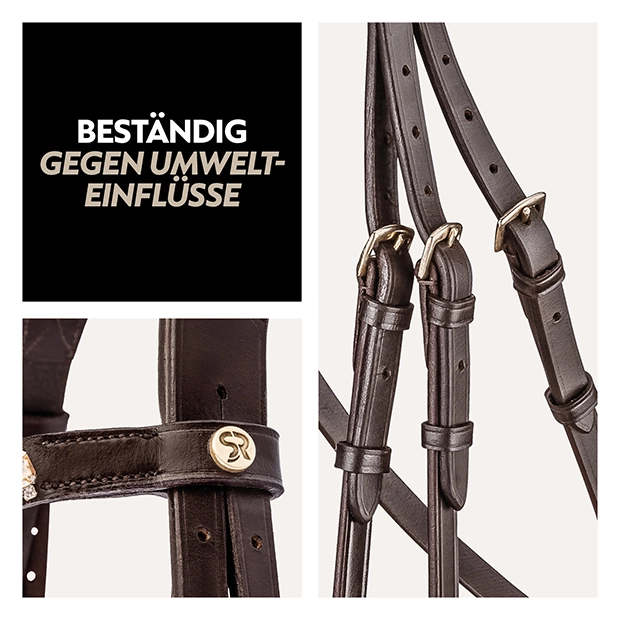 Detailansicht einer braunen schwedischen Trense mit verschiedenen Riemen und Schnallen, die gegen Umwelteinflüsse beständig ist.