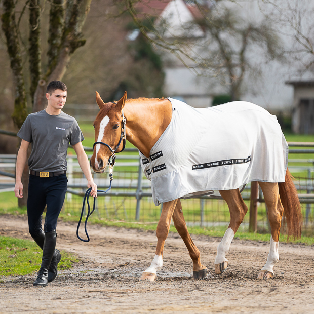 a horse walking with a lightgrey summer rug, fly rug and transportation rug with neck dubai with detachable neck part, belly part and individual straps included