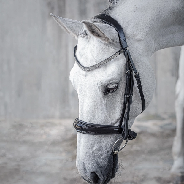 schwedische ledertrense aspen in schwarz mit diamantfarbenen steinen im stirnband sowie hochglanzelementen am pferd
