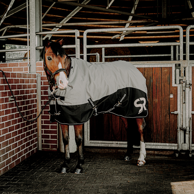 grey helsinki winter rug with 250 grams filling and reflecting elements and red leather cord halter by sunride on a horse in front of a stable