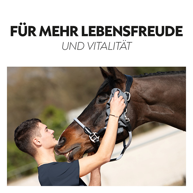 3in1 Kühldecke für Pferde “Cool Down”