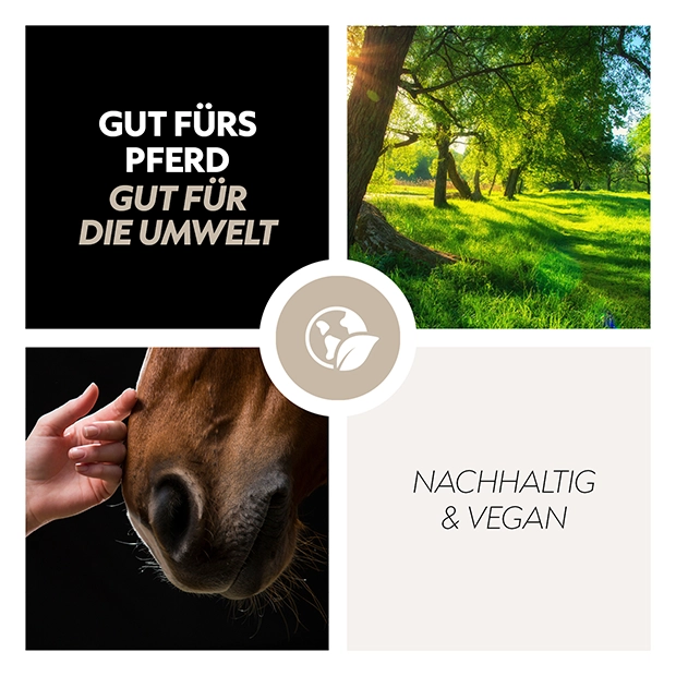 Biothane Halfter mit Strick