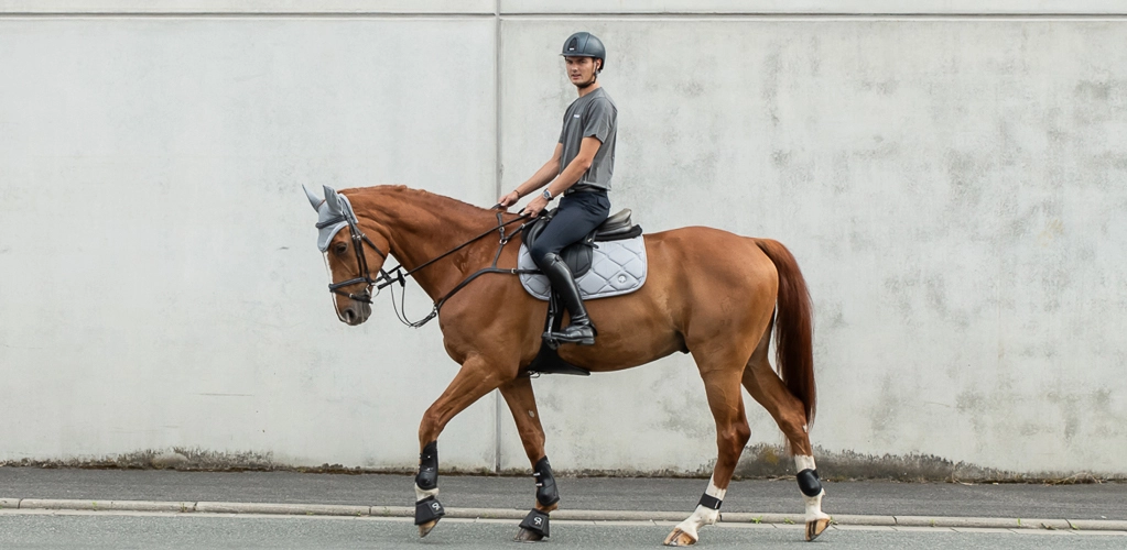 Sets Ein Reiter reitet ein Pferd im Schritt an einer hellen Wand entlang Das Pferd trägt ein graues Set aus Schabracke und Fliegenohren von Sunride