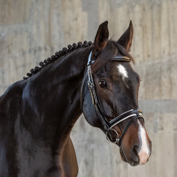 English combined bridle "Hawaii" with reins English combined bridle "Hawaii" with reins