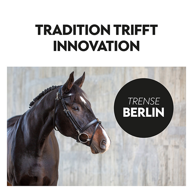 English combined bridle "Berlin" with reins