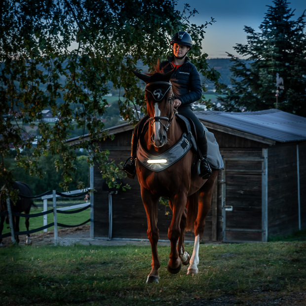 LED riding rug 0g "New York" (1200D)