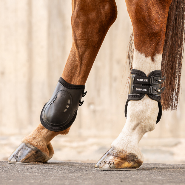 black high leather fetlock boots with protection layer and elastic closure straps by sunride on a horse leg
