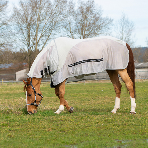 a horse with lightgrey summer rug, fly rug and transportation rug with neck dubai with detachable neck part, belly part and individual straps included on a field