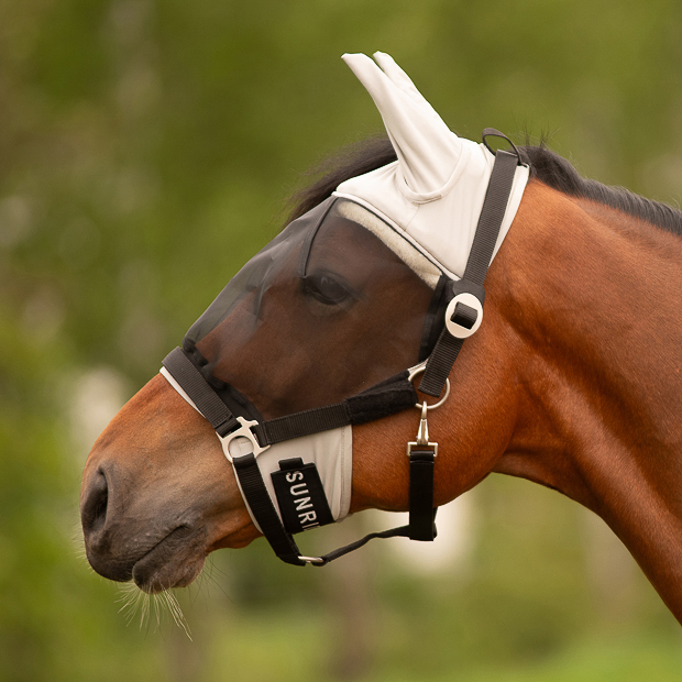 Fly Mask "Dubai"