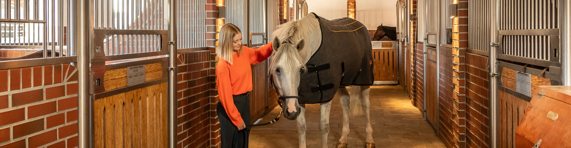 Heizdecke Eine Reiterin steht in der Stallgasse neben einem Pferd das eine Heizdecke trägt und streichelt es