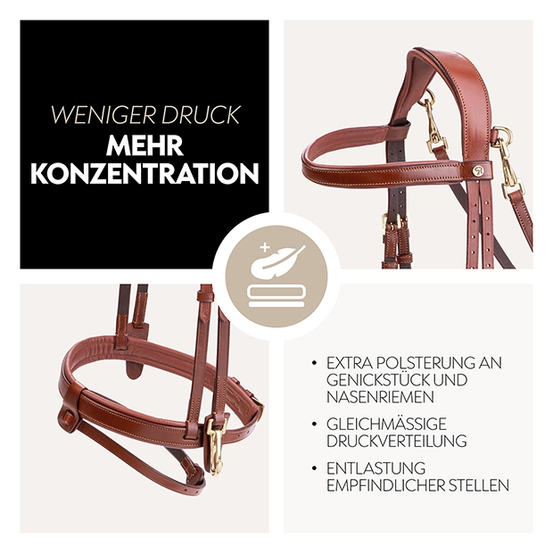 English combined bridle "Berlin" with reins