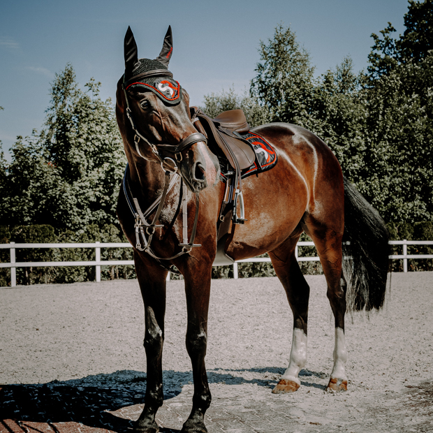 ascot brown with golden mounting leather breastplate with detachable martingal and choice of 3 point or 5 point fixation on a horse in red black sr line equipment