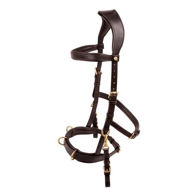 1 cavesson bridle ely in brown leather with golden mounting including reins by sunride