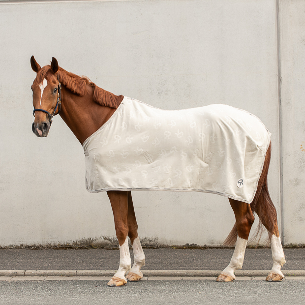 beige cooler rug with removable belly straps wellington line by sunride on a horse
