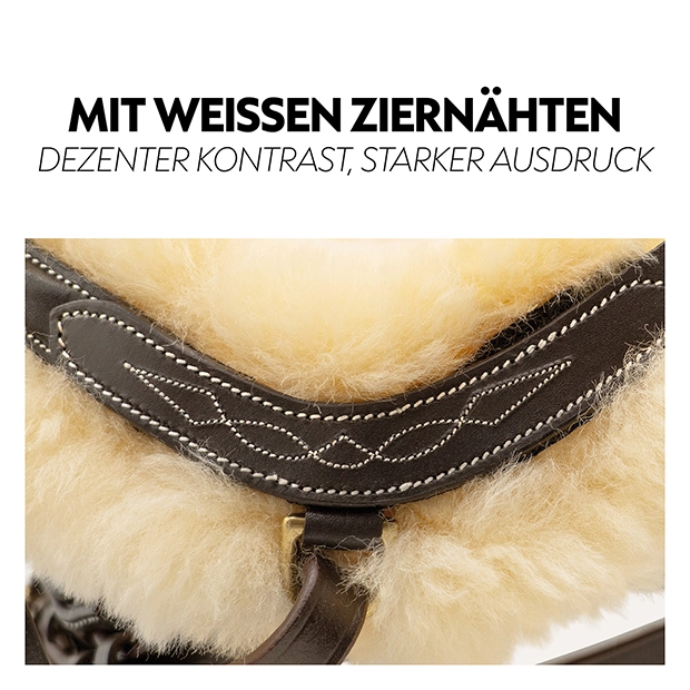 Schwedische Trense "Oxford" mit Zügel