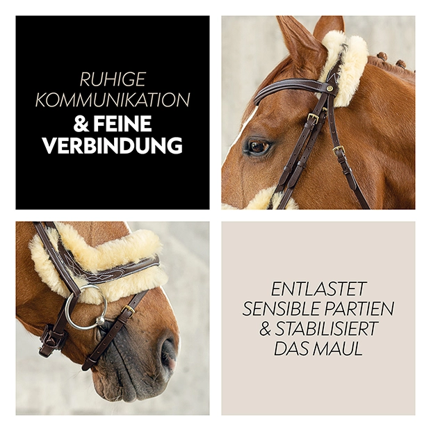 Schwedische Trense "Oxford" mit Zügel