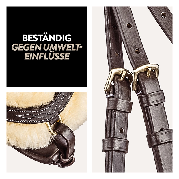 Schwedische Trense "Oxford" mit Zügel