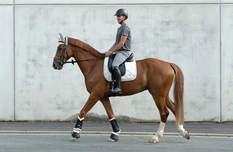 Dressurschabracke Wellington Ein Reiter sitzt auf einem Pferd mit einer weißen Dressurschabracke und reitet an einer grauen Betonwand entlang