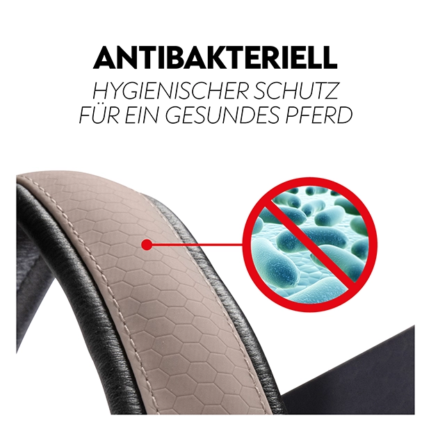 Biothane Halfter mit Strick