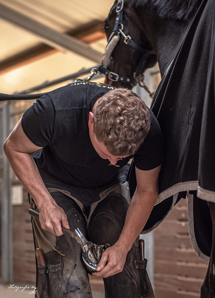 Farrier training and craftsmanship