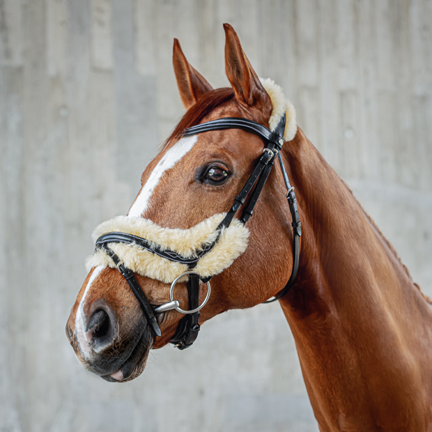 black swedish leather bridle oxford with silver mounting and fur padding including reins by sunride on a horse